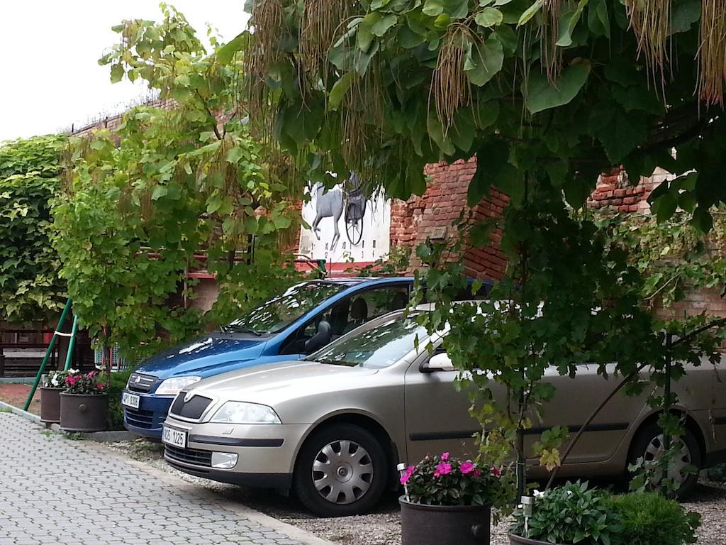 Penzion U Vlku Valtice Kültér fotó